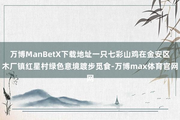 万博ManBetX下载地址一只七彩山鸡在金安区木厂镇红星村绿色意境踱步觅食-万博max体育官网