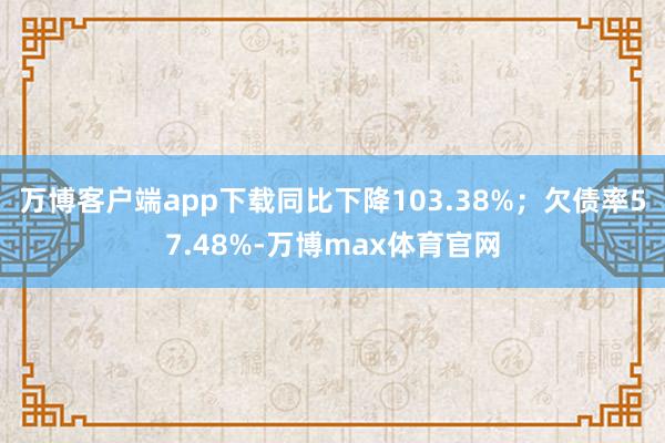 万博客户端app下载同比下降103.38%；欠债率57.48%-万博max体育官网