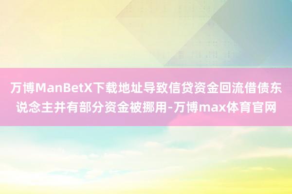 万博ManBetX下载地址导致信贷资金回流借债东说念主并有部分资金被挪用-万博max体育官网