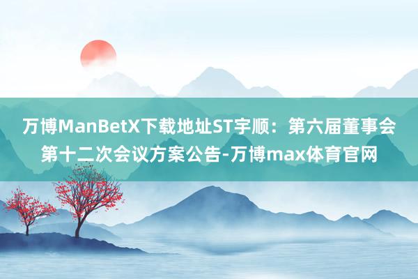 万博ManBetX下载地址ST宇顺：第六届董事会第十二次会议方案公告-万博max体育官网