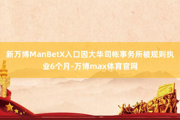 新万博ManBetX入口因大华司帐事务所被规则执业6个月-万博max体育官网