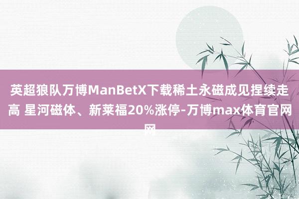 英超狼队万博ManBetX下载稀土永磁成见捏续走高 星河磁体、新莱福20%涨停-万博max体育官网