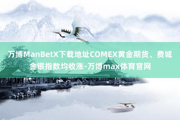 万博ManBetX下载地址COMEX黄金期货、费城金银指数均收涨-万博max体育官网