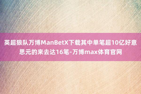 英超狼队万博ManBetX下载其中单笔超10亿好意思元的来去达16笔-万博max体育官网