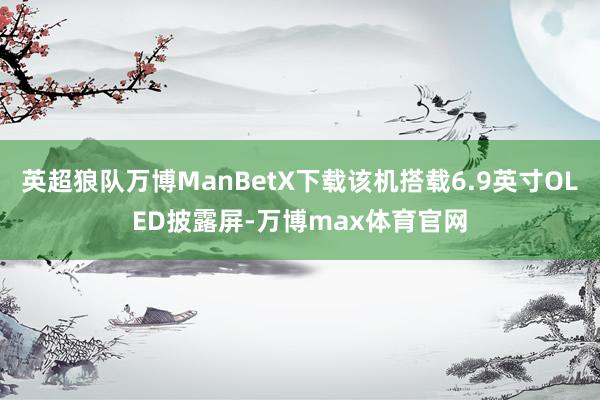 英超狼队万博ManBetX下载该机搭载6.9英寸OLED披露屏-万博max体育官网
