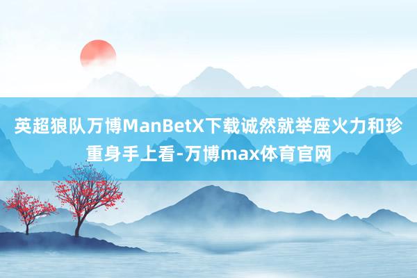 英超狼队万博ManBetX下载诚然就举座火力和珍重身手上看-万博max体育官网