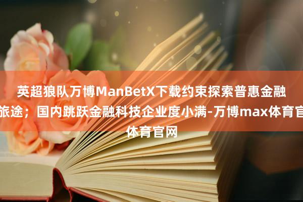 英超狼队万博ManBetX下载约束探索普惠金融新旅途;国内跳跃金融科技企业度小满-万博max体育官网