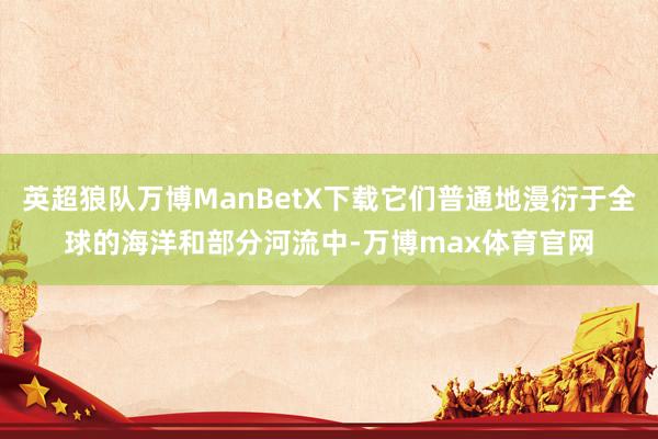 英超狼队万博ManBetX下载它们普通地漫衍于全球的海洋和部分河流中-万博max体育官网