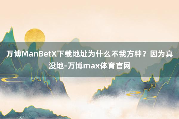 万博ManBetX下载地址为什么不我方种？因为真没地-万博max体育官网