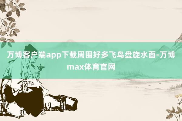 万博客户端app下载周围好多飞鸟盘旋水面-万博max体育官网