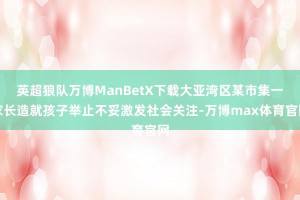 英超狼队万博ManBetX下载大亚湾区某市集一家长造就孩子举止不妥激发社会关注-万博max体育官网