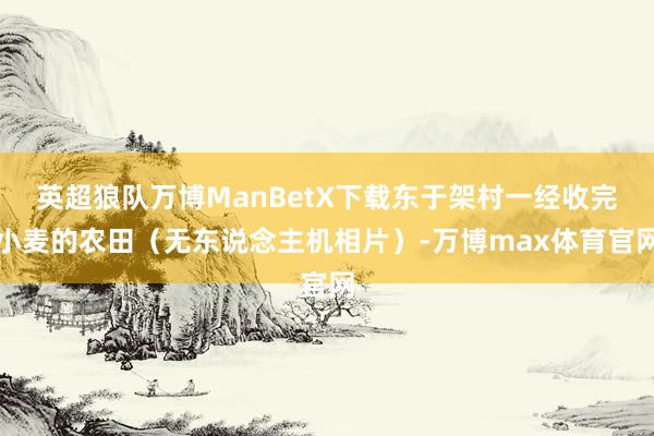 英超狼队万博ManBetX下载东于架村一经收完小麦的农田（无东说念主机相片）-万博max体育官网