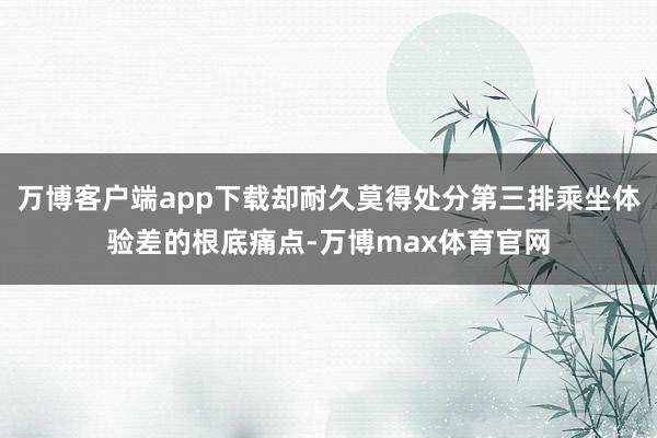 万博客户端app下载却耐久莫得处分第三排乘坐体验差的根底痛点-万博max体育官网