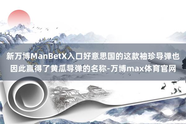 新万博ManBetX入口好意思国的这款袖珍导弹也因此赢得了黄瓜导弹的名称-万博max体育官网