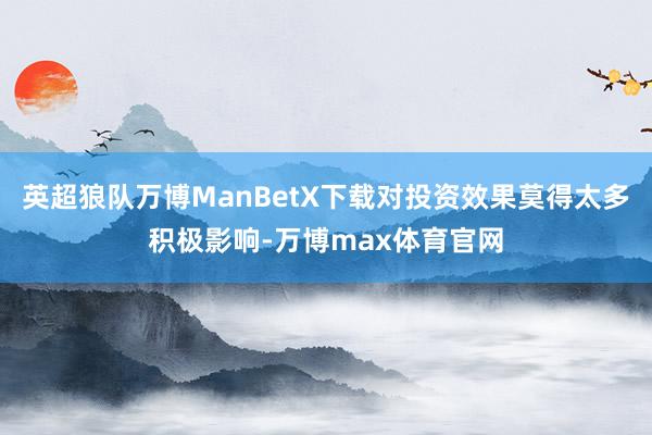 英超狼队万博ManBetX下载对投资效果莫得太多积极影响-万博max体育官网
